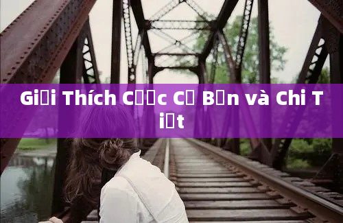 Giải Thích Cược Cơ Bản và Chi Tiết