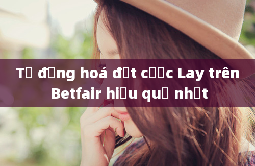 Tự động hoá đặt cược Lay trên Betfair hiệu quả nhất