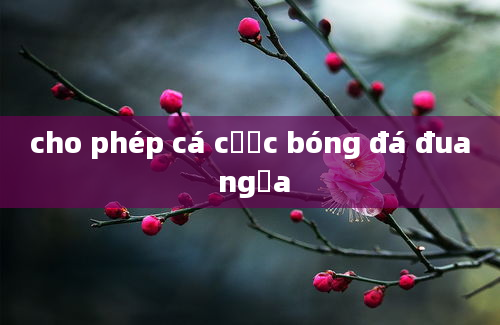 cho phép cá cược bóng đá đua ngựa