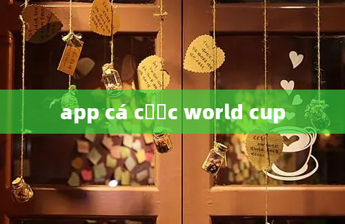 app cá cược world cup