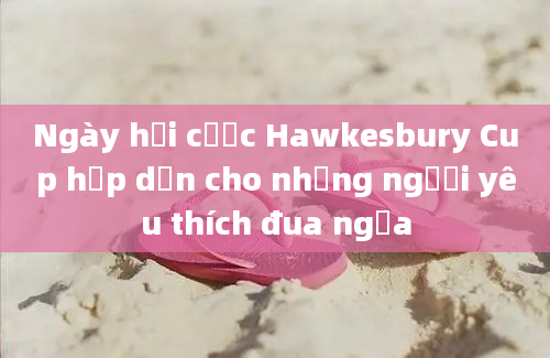 Ngày hội cược Hawkesbury Cup hấp dẫn cho những người yêu thích đua ngựa