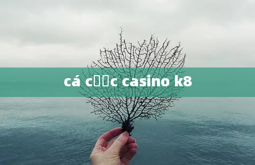 cá cược casino k8