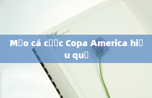 Mẹo cá cược Copa America hiệu quả