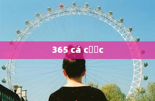 365 cá cược