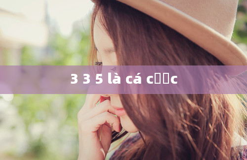 3 3 5 là cá cược