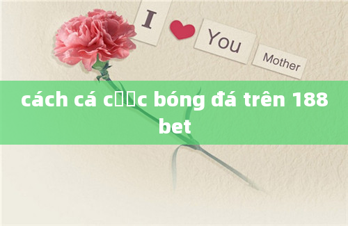 cách cá cược bóng đá trên 188bet