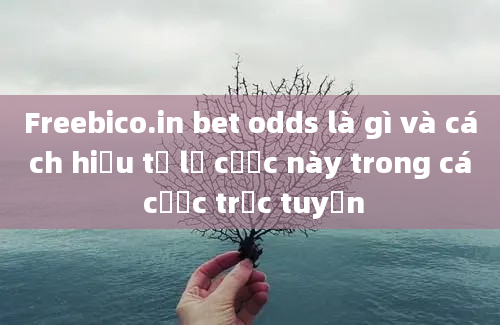 Freebico.in bet odds là gì và cách hiểu tỷ lệ cược này trong cá cược trực tuyến