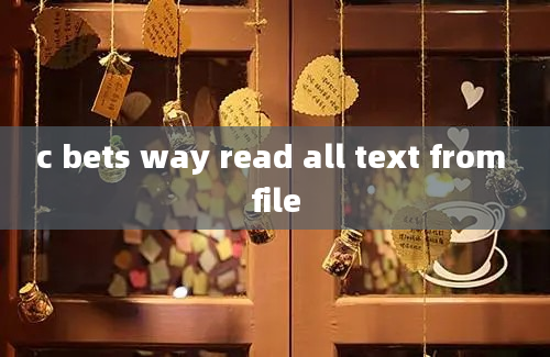 c bets way read all text from file