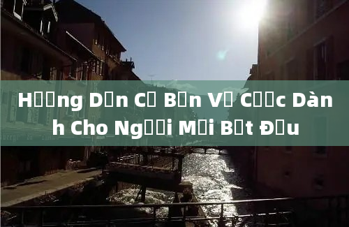 Hướng Dẫn Cơ Bản Về Cược Dành Cho Người Mới Bắt Đầu