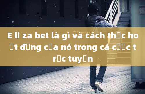 E li za bet là gì và cách thức hoạt động của nó trong cá cược trực tuyến