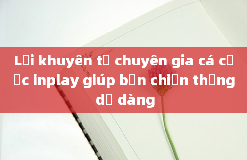 Lời khuyên từ chuyên gia cá cược inplay giúp bạn chiến thắng dễ dàng