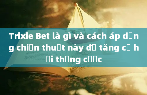 Trixie Bet là gì và cách áp dụng chiến thuật này để tăng cơ hội thắng cược