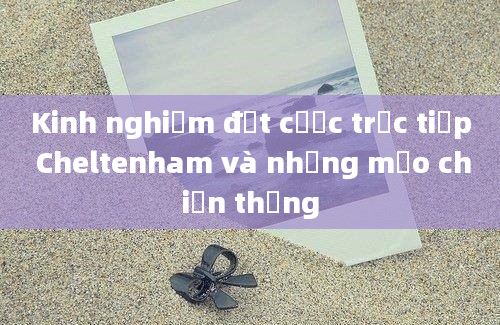 Kinh nghiệm đặt cược trực tiếp Cheltenham và những mẹo chiến thắng