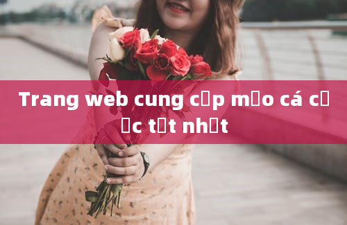 Trang web cung cấp mẹo cá cược tốt nhất