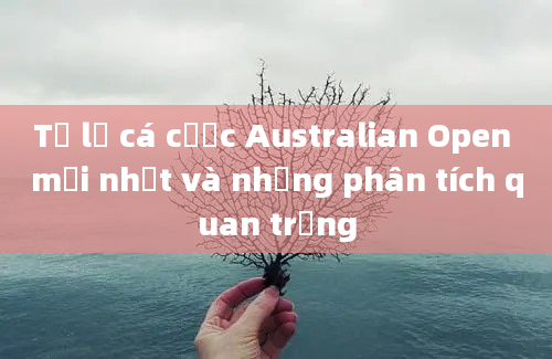 Tỷ lệ cá cược Australian Open mới nhất và những phân tích quan trọng