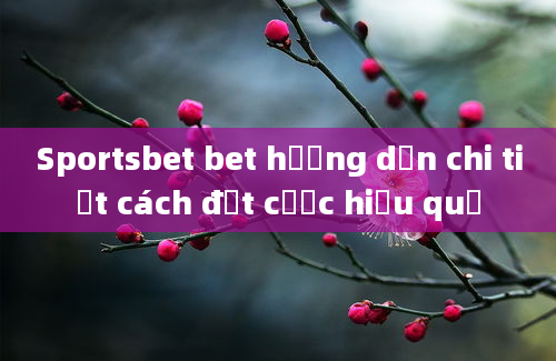 Sportsbet bet hướng dẫn chi tiết cách đặt cược hiệu quả