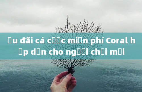 Ưu đãi cá cược miễn phí Coral hấp dẫn cho người chơi mới