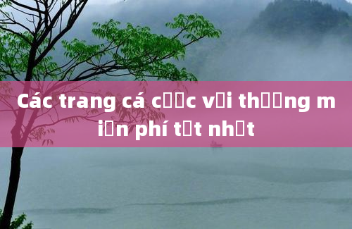 Các trang cá cược với thưởng miễn phí tốt nhất