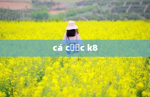 cá cược k8