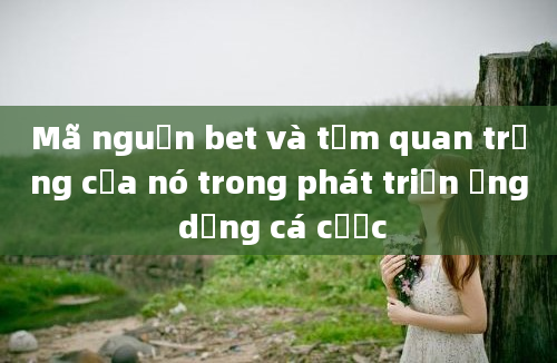 Mã nguồn bet và tầm quan trọng của nó trong phát triển ứng dụng cá cược