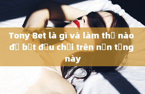 Tony Bet là gì và làm thế nào để bắt đầu chơi trên nền tảng này