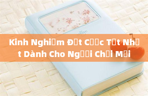 Kinh Nghiệm Đặt Cược Tốt Nhất Dành Cho Người Chơi Mới