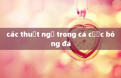 các thuật ngữ trong cá cược bóng đá