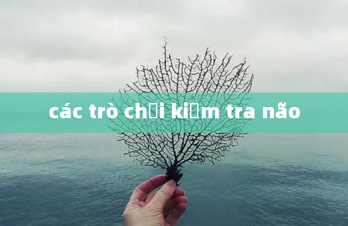 các trò chơi kiểm tra não