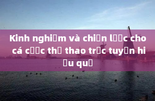 Kinh nghiệm và chiến lược cho cá cược thể thao trực tuyến hiệu quả