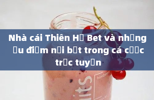 Nhà cái Thiên Hạ Bet và những ưu điểm nổi bật trong cá cược trực tuyến