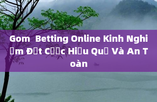 Gom  Betting Online Kinh Nghiệm Đặt Cược Hiệu Quả Và An Toàn