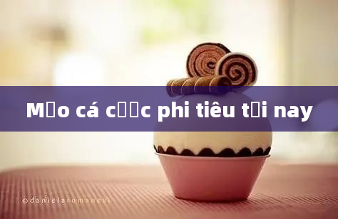 Mẹo cá cược phi tiêu tối nay