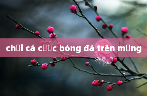 chơi cá cược bóng đá trên mạng