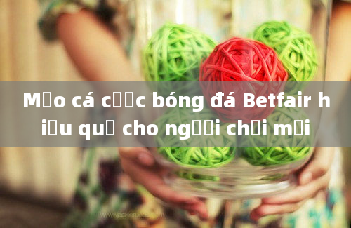 Mẹo cá cược bóng đá Betfair hiệu quả cho người chơi mới