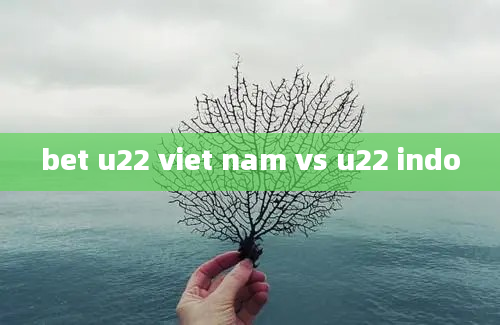 bet u22 viet nam vs u22 indo