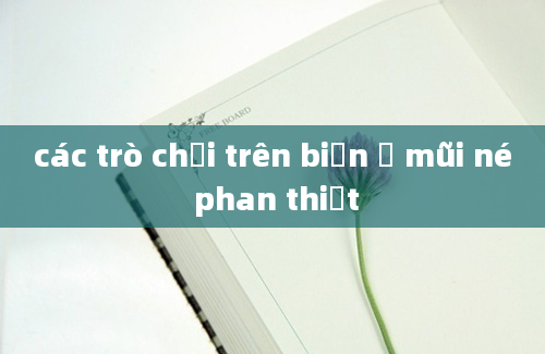 các trò chơi trên biển ở mũi né phan thiết