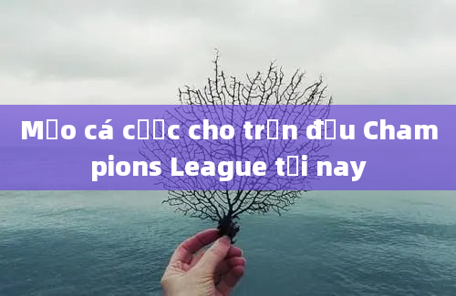 Mẹo cá cược cho trận đấu Champions League tối nay