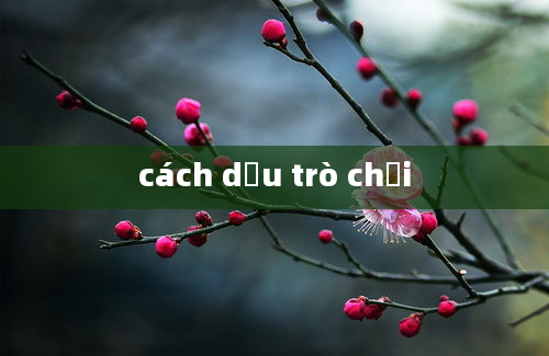 cách dấu trò chơi