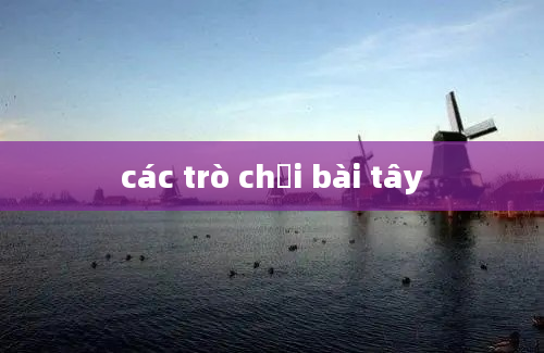 các trò chơi bài tây