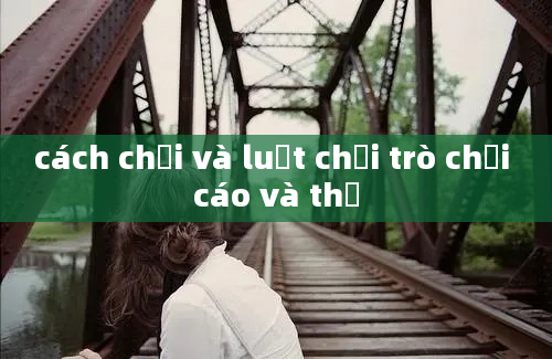 cách chơi và luật chơi trò chơi cáo và thỏ