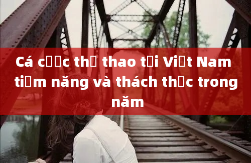 Cá cược thể thao tại Việt Nam tiềm năng và thách thức trong năm