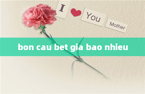 bon cau bet gia bao nhieu