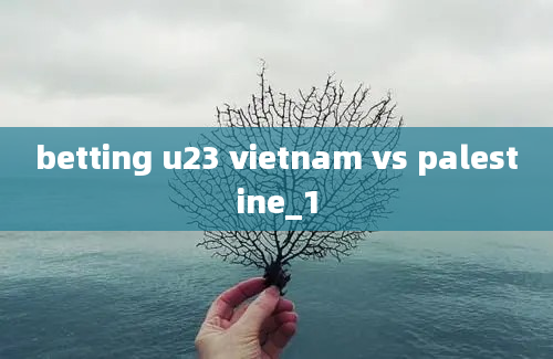 betting u23 vietnam vs palestine_1