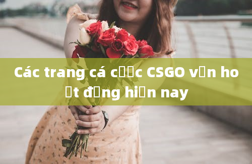 Các trang cá cược CSGO vẫn hoạt động hiện nay