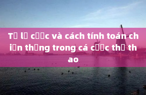 Tỷ lệ cược và cách tính toán chiến thắng trong cá cược thể thao