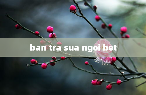 ban tra sua ngoi bet