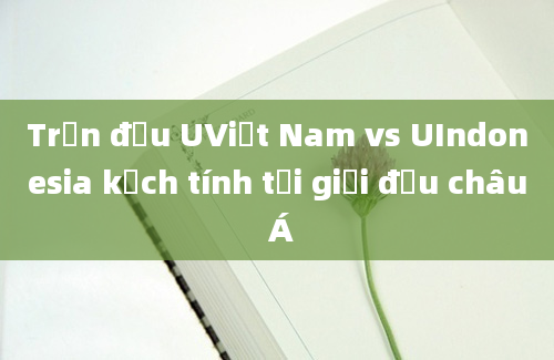 Trận đấu UViệt Nam vs UIndonesia kịch tính tại giải đấu châu Á