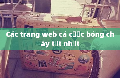 Các trang web cá cược bóng chày tốt nhất