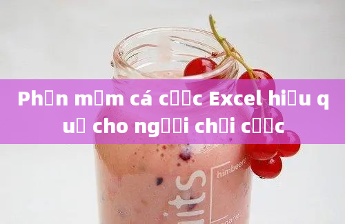 Phần mềm cá cược Excel hiệu quả cho người chơi cược