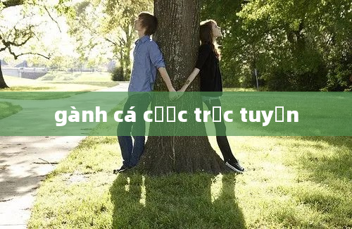 gành cá cược trực tuyến